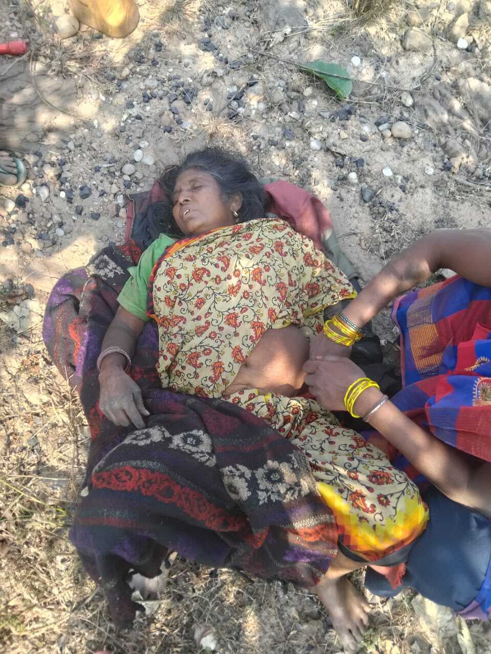Bokaro News : हाथी ने तीन को कुचला, एक महिला की मौत Bokaro News : हाथी ने तीन को कुचला, एक महिला की मौत