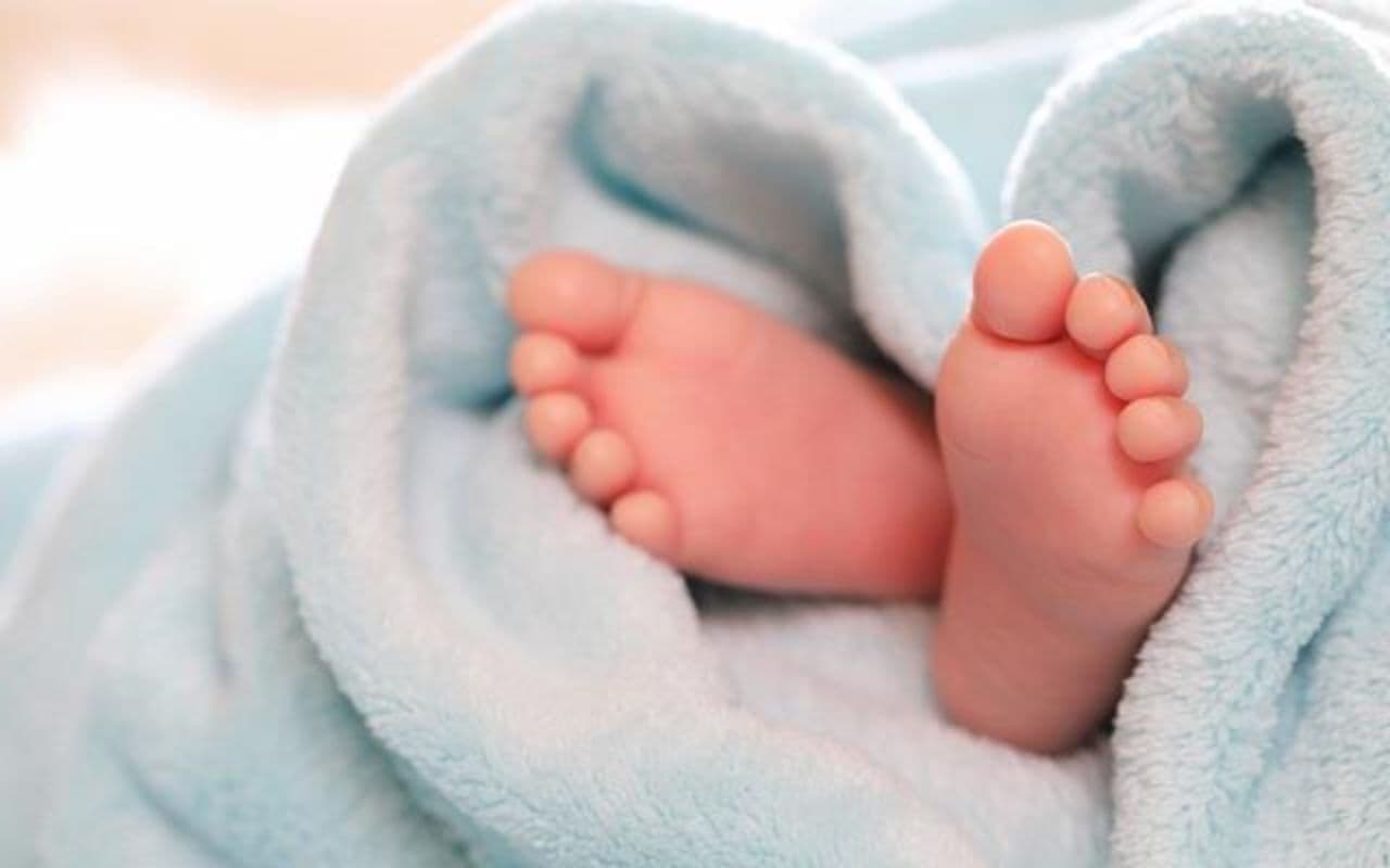 Bihar News: औरंगाबाद में इंसानियत हुआ शर्मसार, कचरे के ढेर में फेंका मिला नवजात का शव