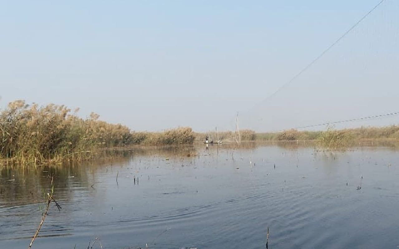 Bihar News: टूरिस्ट हब के रूप में विकसित होगा हाजीपुर के बरैला झील, नेचर और वाइल्डलाइफ टूरिज्म को मिलेगा बढ़ावा Bihar News: टूरिस्ट हब के रूप में विकसित होगा हाजीपुर के बरैला झील, नेचर और वाइल्डलाइफ टूरिज्म को मिलेगा बढ़ावा