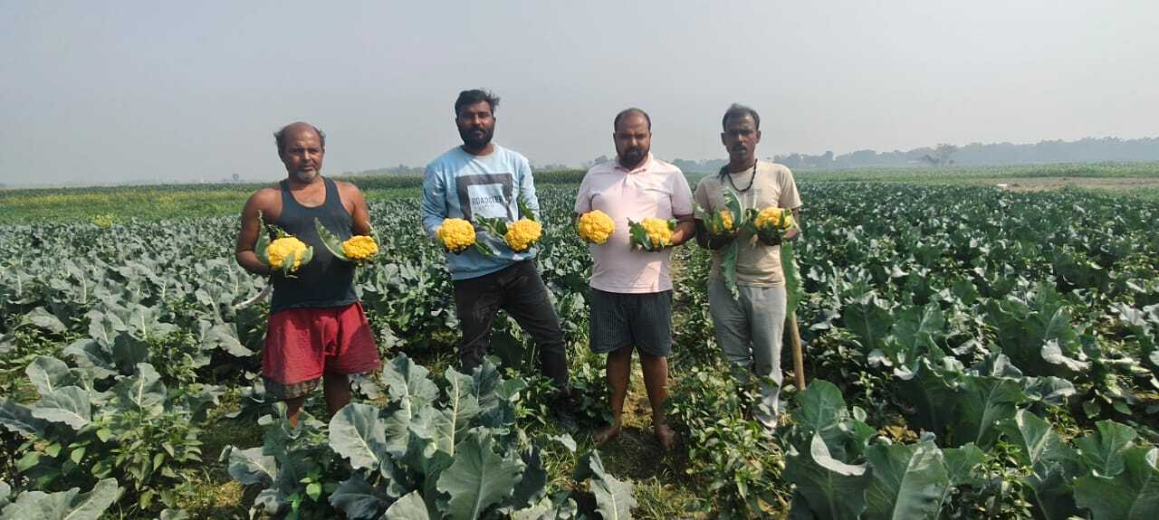 पारंपरिक खेती से आगे बढ़कर नई फसलों की ओर रूख कर रहे किसान