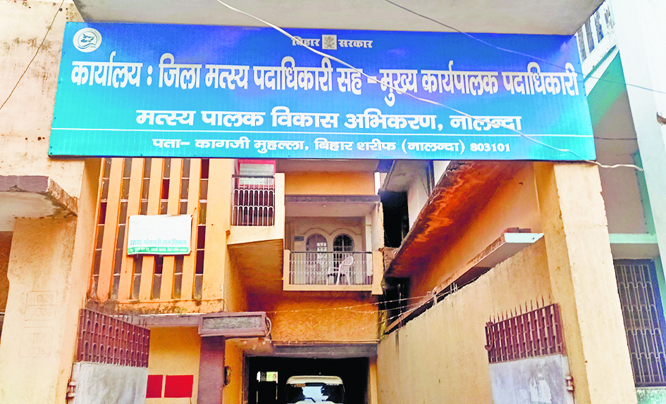 जिले में पहली बार आरएएस तकनीक से मछली उत्पादन का कार्य शुरू