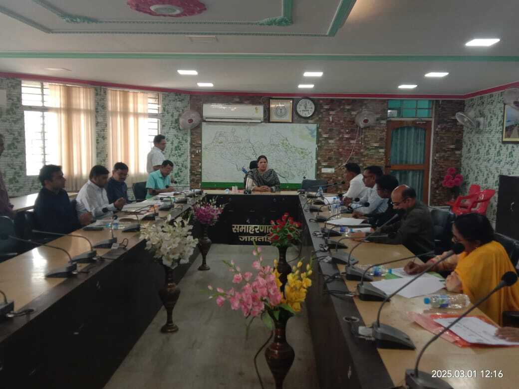 युवाओं के हुनर और स्किल्स को देखते हुए बनाएं कार्ययोजना : डीसी
