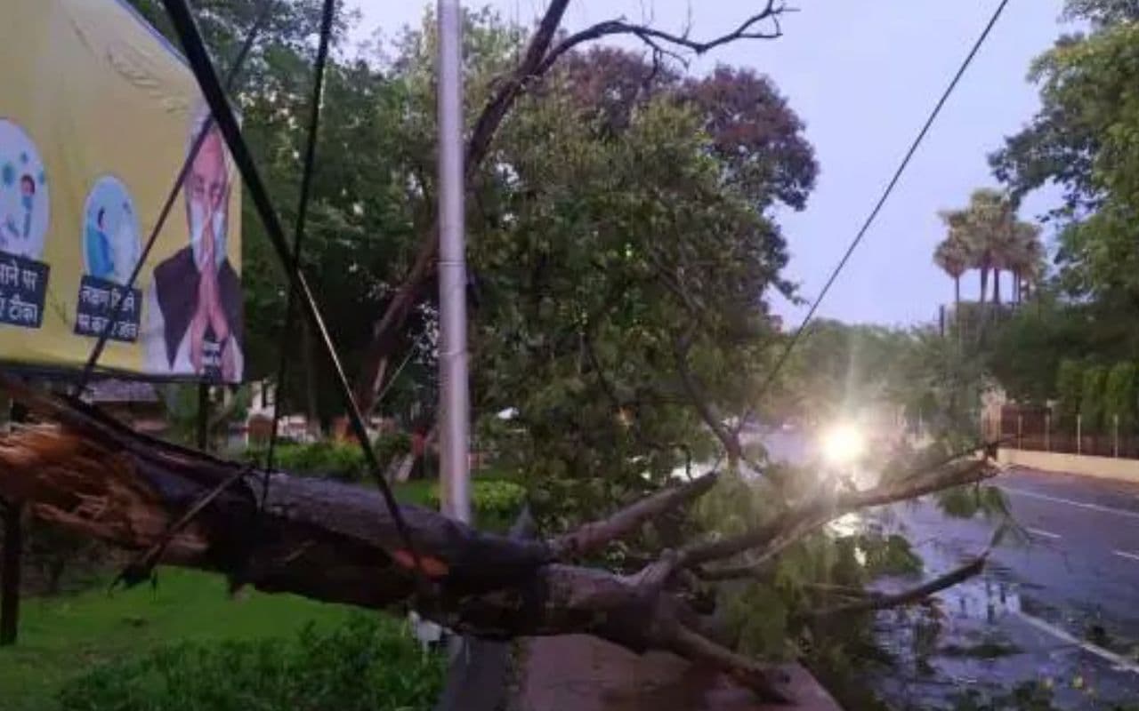 Bihar News: आंधी-पानी में कहीं गिरी झोंपड़ी तो कहीं गिरे पेड़, जहानाबाद में बिजली की आपूर्ति व्यवस्था चरमराई