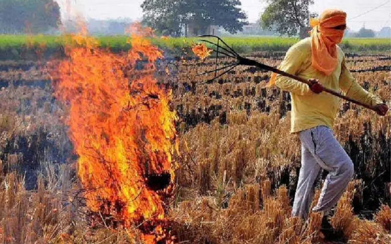 Sasaram News: खेतों में पराली जलाने वाले किसानों के खिलाफ होगी कार्रवाई, ऐसे लोग किए जाएंगे सरकारी सुविधाओं से वंचित Sasaram News: खेतों में पराली जलाने वाले किसानों के खिलाफ होगी कार्रवाई, ऐसे लोग किए जाएंगे सरकारी सुविधाओं से वंचित