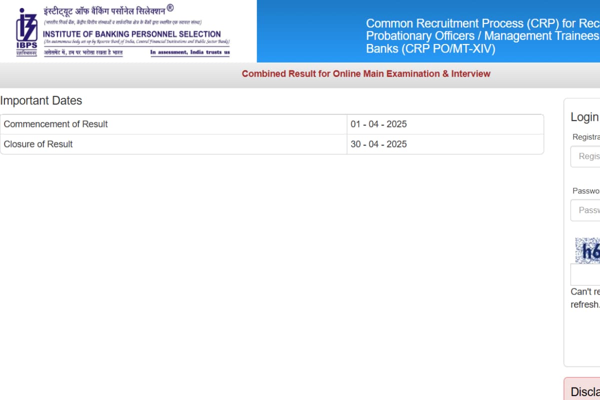IBPS PO Final Result 2025 OUT IBPS PO Final Result 2025 OUT