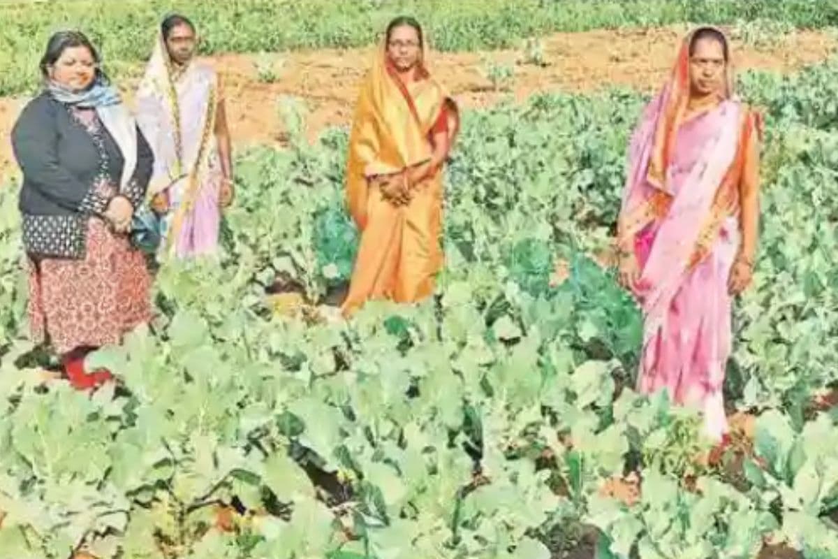 गुमला में नक्सलियों का सफाया, अब पलायन भूल जैविक खेती कर आत्मनिर्भर बन रही महिलाएं