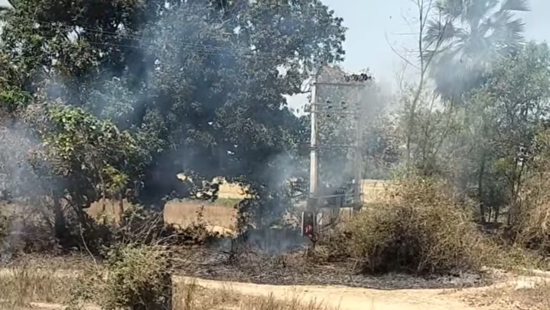 शंभुगंज के दो अलग-अलग बगीचे में लगी आग, कई वृक्ष झुलसे