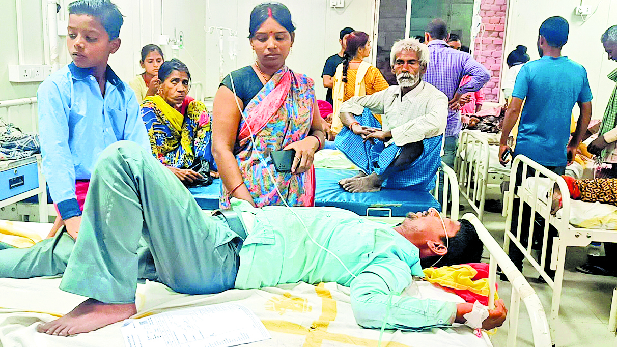 jehanabad News : श्रद्धालुओं पर मधुमक्खियों ने किया हमला, 20 जख्मी