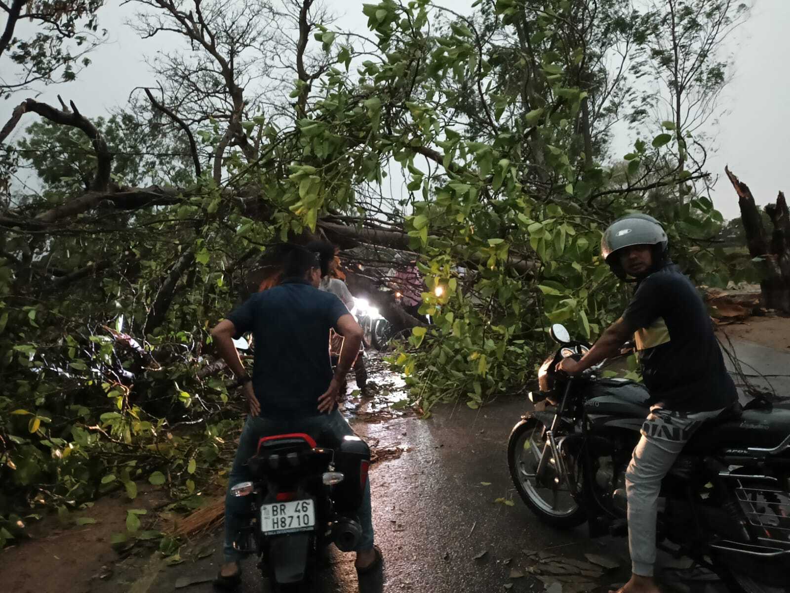 आंधी-बारिश से सड़क पर गिरे दर्जनों पेड़, यातायात बाधित