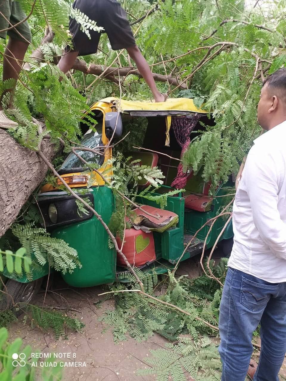 Sasaram News : आंधी-पानी : रौजा रोड में ऑटो पर गिरा पेड़, मची अफरातफरी