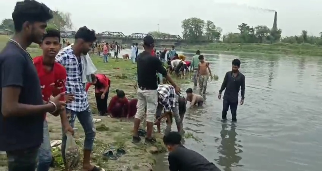 मीरगंज पुल के पास अचेतावस्स्था में मिलीं सैंकड़ों मछलियां