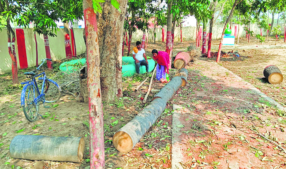 Jehanabad : सरता विद्यालय में पेड़ काटते दिखा रात्रि प्रहरी