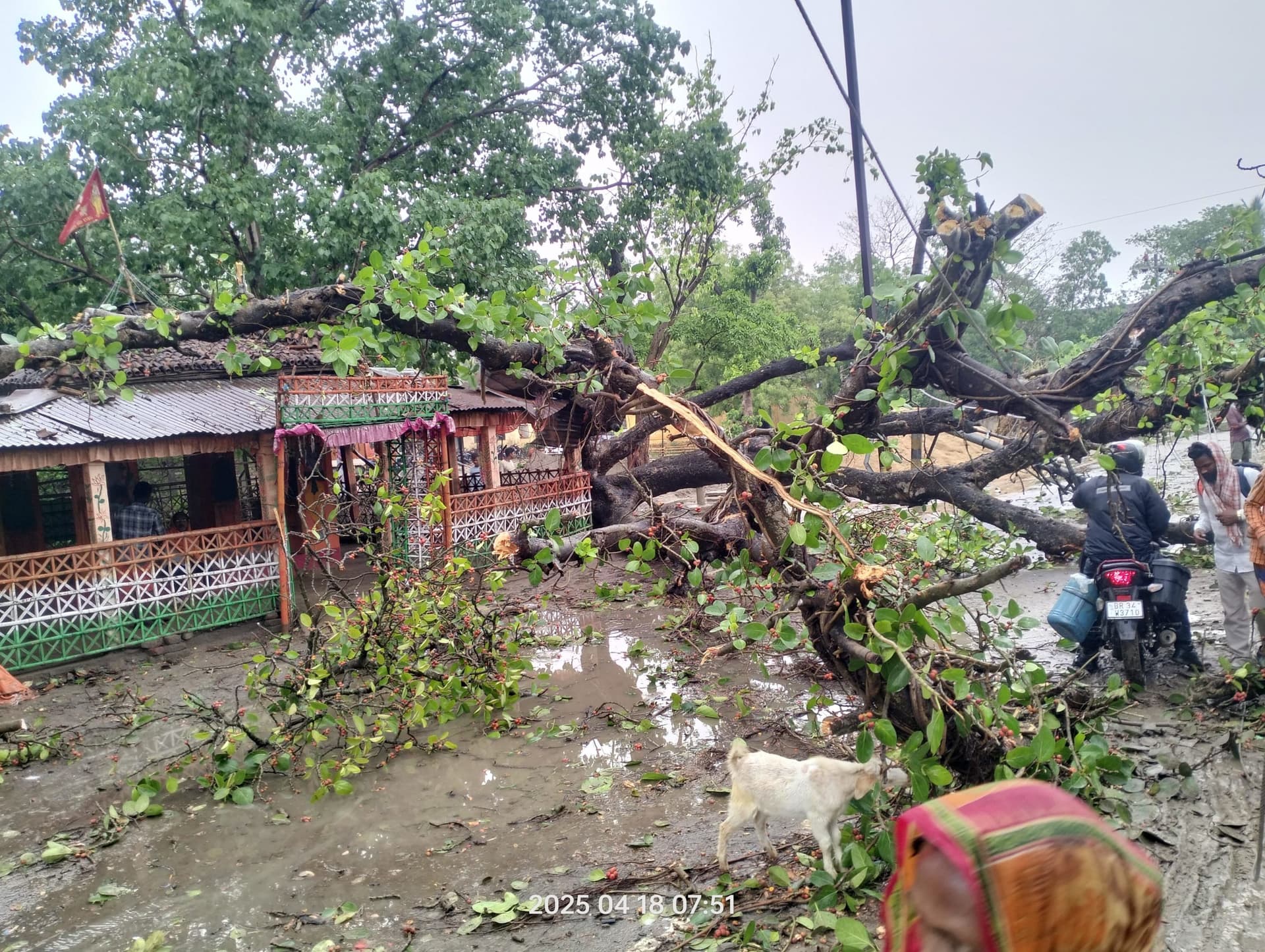पसराहा में आंधी ने घर के छप्पर को उड़ाया