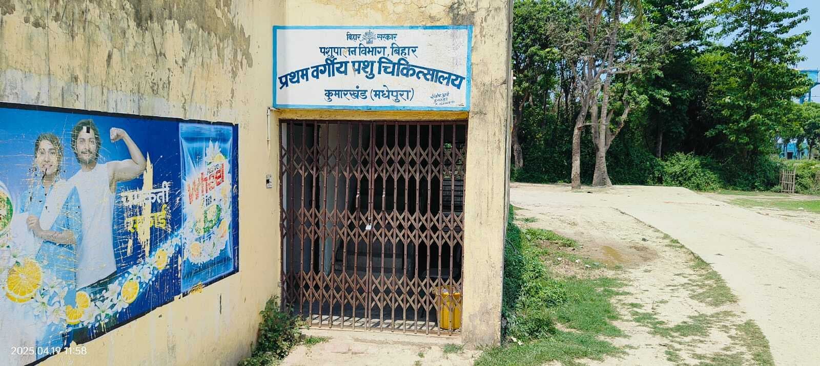 पशु चिकित्सालय में नहीं मिलते डॉक्टर, पशुपालक परेशान