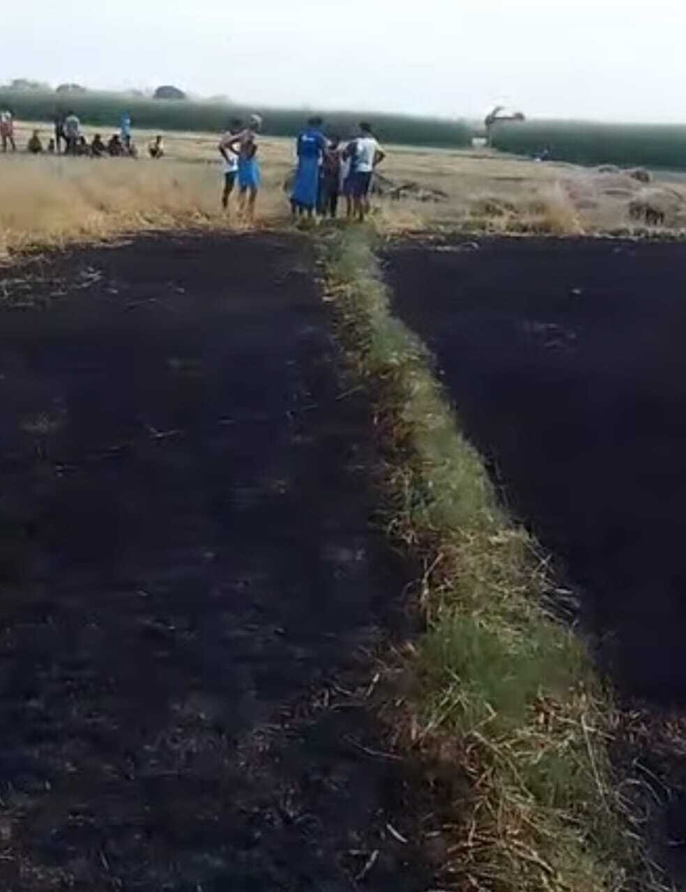 लौगांय बहियार में विद्युत प्रवाहित तार टूटा, दो एकड़ गेहूं की फसल जलकर राख