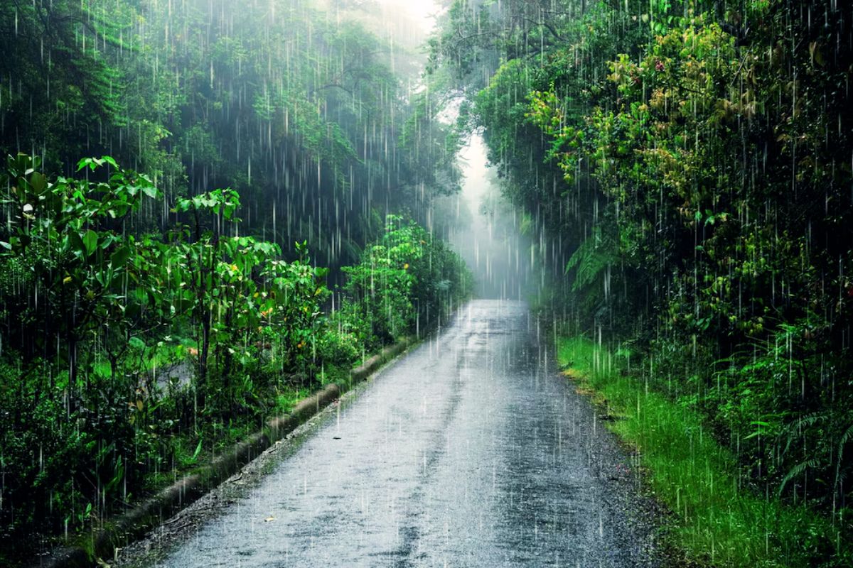 Bihar Rain Alert: बिहार के इन 32 जिलों में 15 और 16 मई को होगी भयंकर बारिश, IMD ने जारी किया येलो अलर्ट