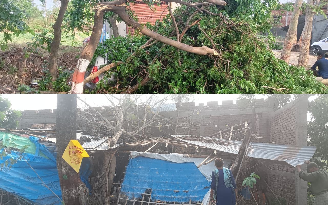 Weather News: बेतिया में आंधी-बारिश ने मचायी तबाही, कहीं उड़े टीन के छप्पर तो कहीं गिरे दर्जनों पेड़ के साथ बिजली पोल Weather News: बेतिया में आंधी-बारिश ने मचायी तबाही, कहीं उड़े टीन के छप्पर तो कहीं गिरे दर्जनों पेड़ के साथ बिजली पोल