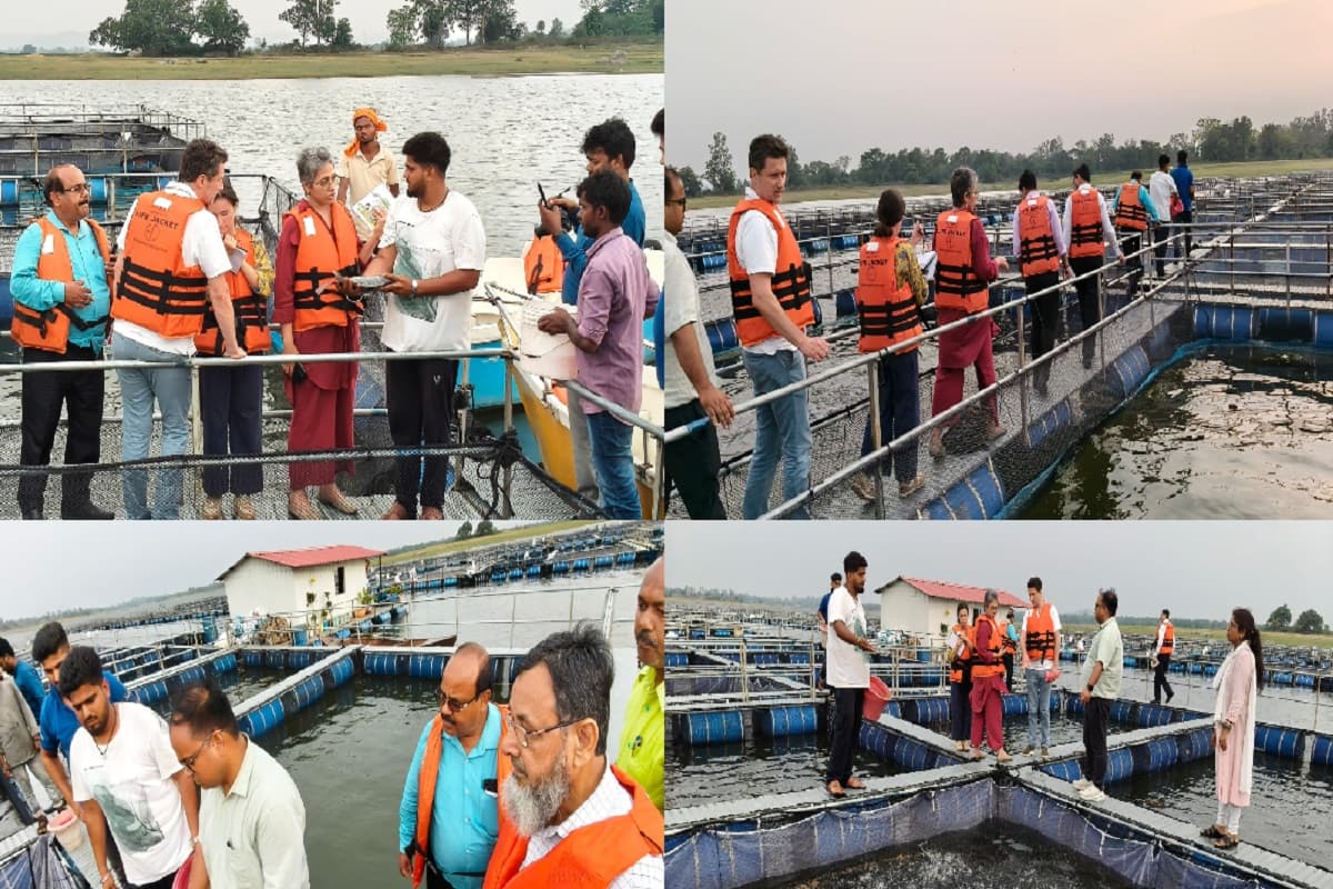 हजारीबाग बना मछली पालन का मॉडल जिला, तिलैया डैम में उच्च स्तरीय संयुक्त टीम ने किया केज कल्चर का निरीक्षण