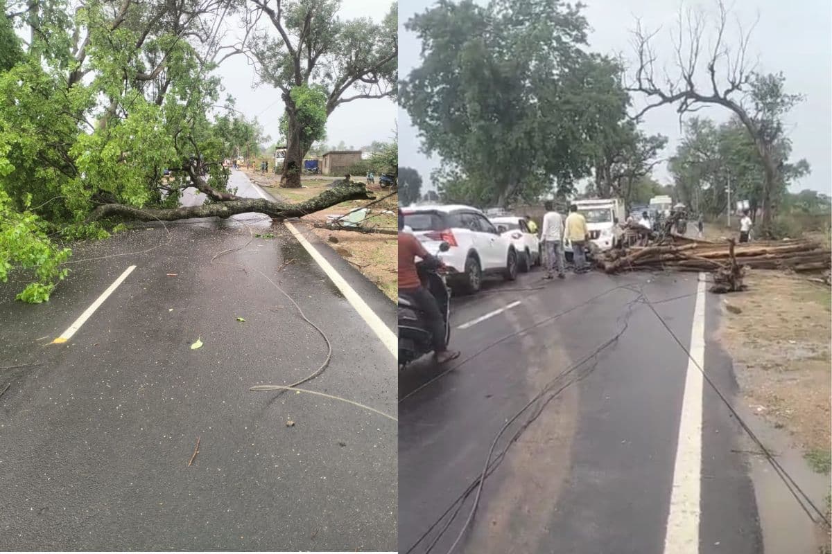 हजारीबाग में आंधी-तूफान और झमाझम बारिश से गिरे पेड़, सड़क पर लगी वाहनों की लंबी कतार