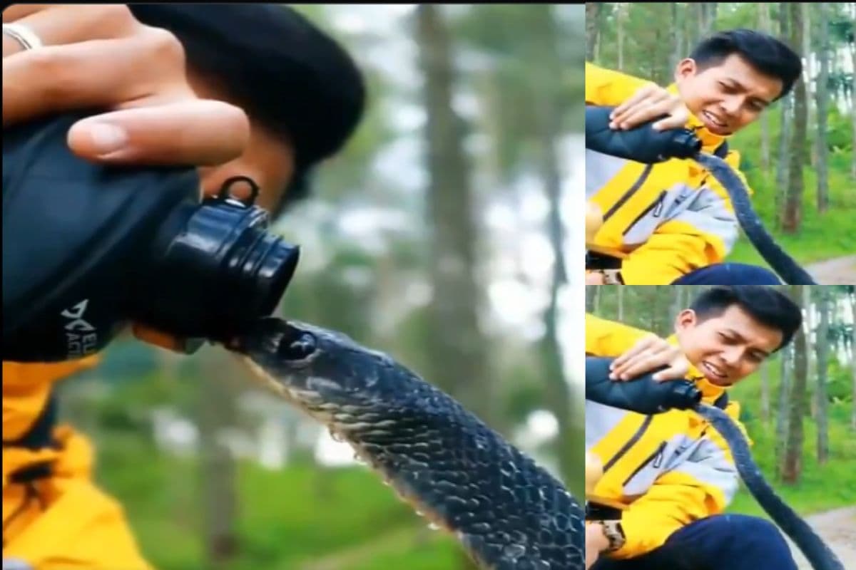man help snake to drink water from bottle