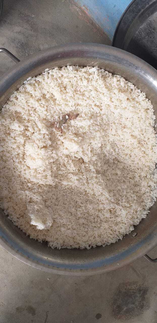 मध्याह्न भोजन में मरी छिपकली मिलने से हड़कंप