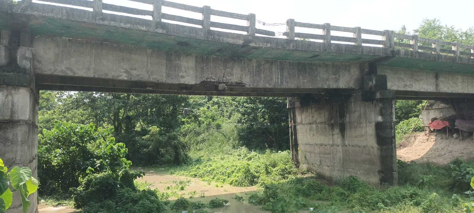 Madhubani News : पुल क्षतिग्रस्त होने के एक वर्ष बाद भी निर्माण की पहल नहीं