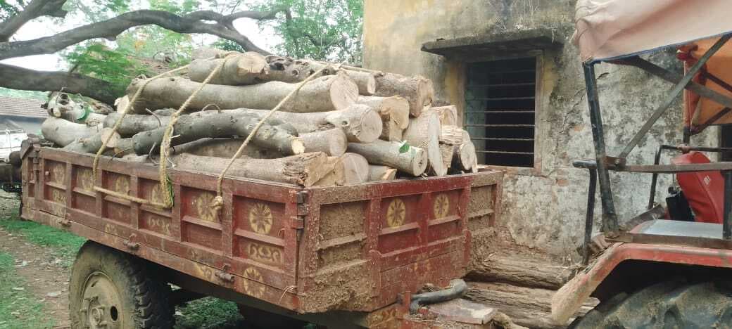 वनपाल ने 25 बोटा लकड़ी लदा ट्रैक्टर किया जब्त