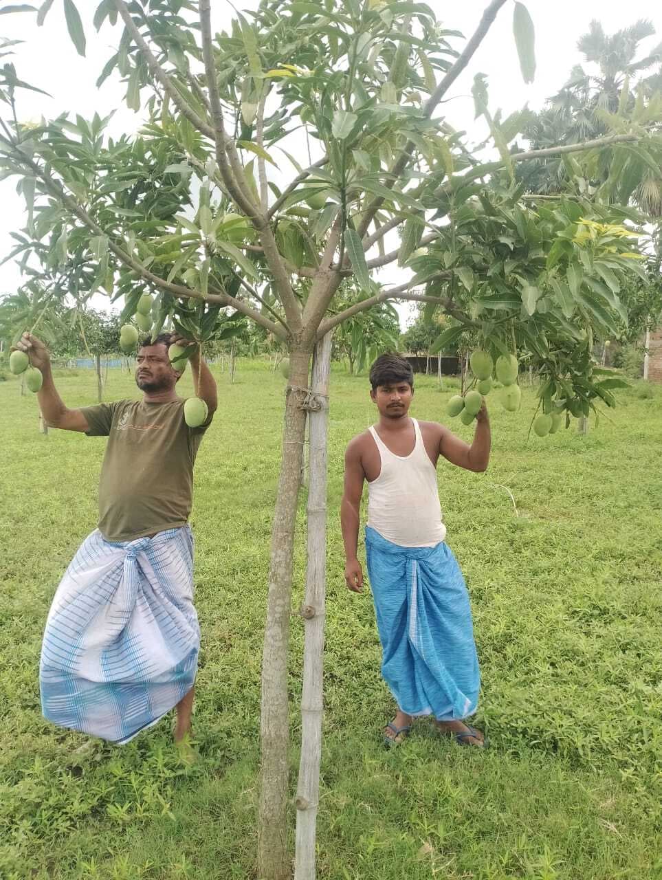 बिरसा हरित ग्राम योजना ने लायी किसानों की मुस्कुराहट