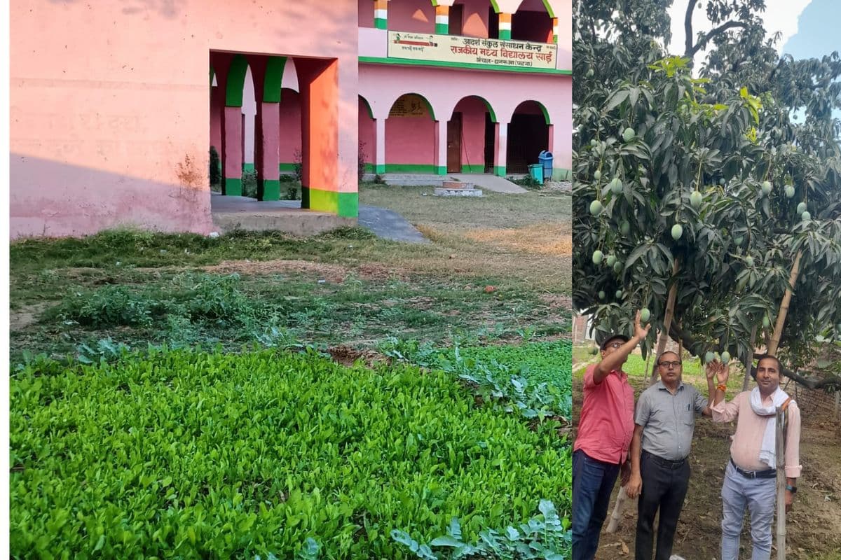 World Environment Day: दीघा में दूधिया मालदह के पेड़ हो गये गायब, संरक्षण में जुटे प्रकृति प्रेमी सुधीर