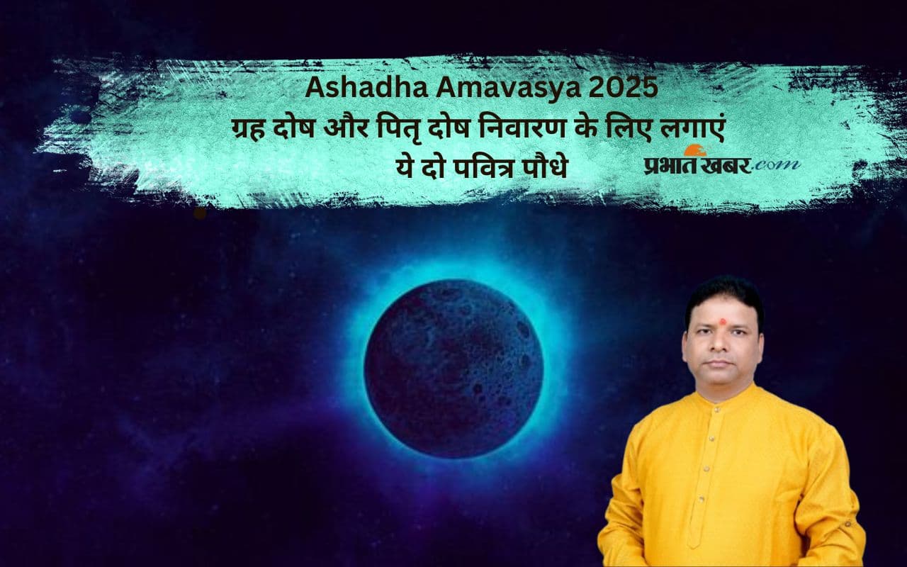 Ashadha Amavasya 2025 secred plant Ashadha Amavasya 2025 secred plant