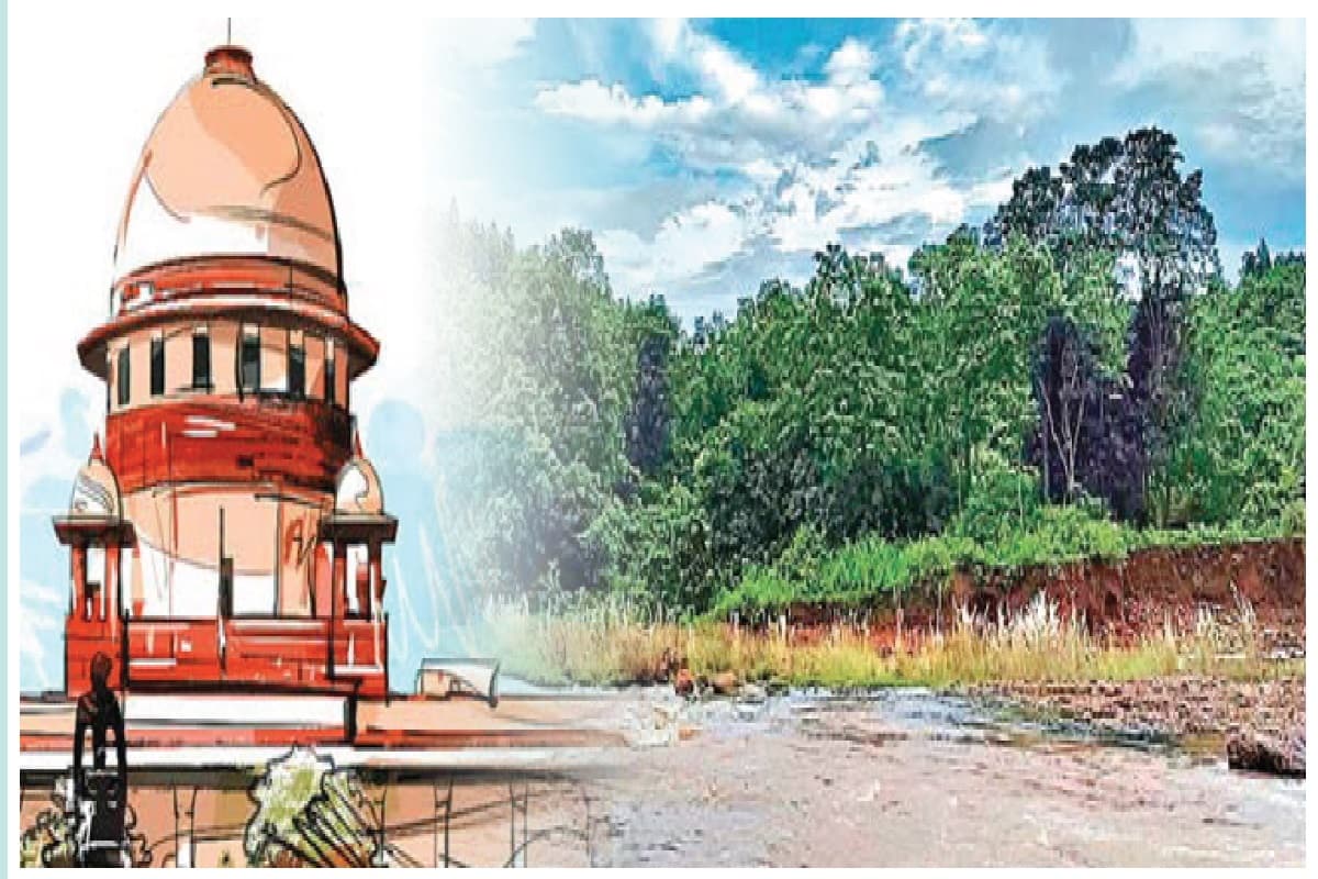 सारंडा वन क्षेत्र में वाइल्ड लाइफ सेंचुरी की घोषणा से खनन पर संकट, खान विभाग कर रहा डाटा तैयार
