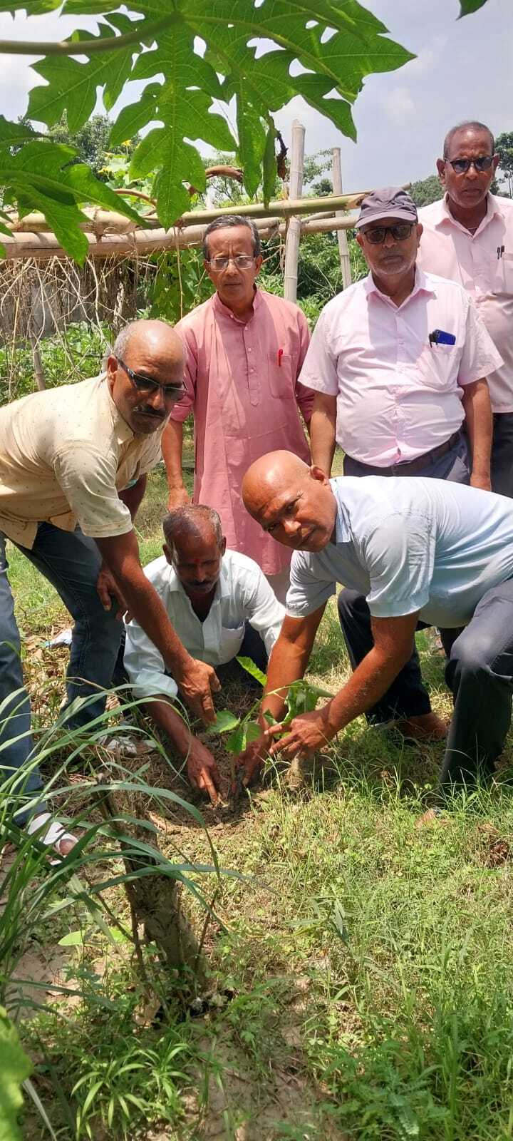 केएन डिग्री कॉलेज में किया गया पौधरोपण