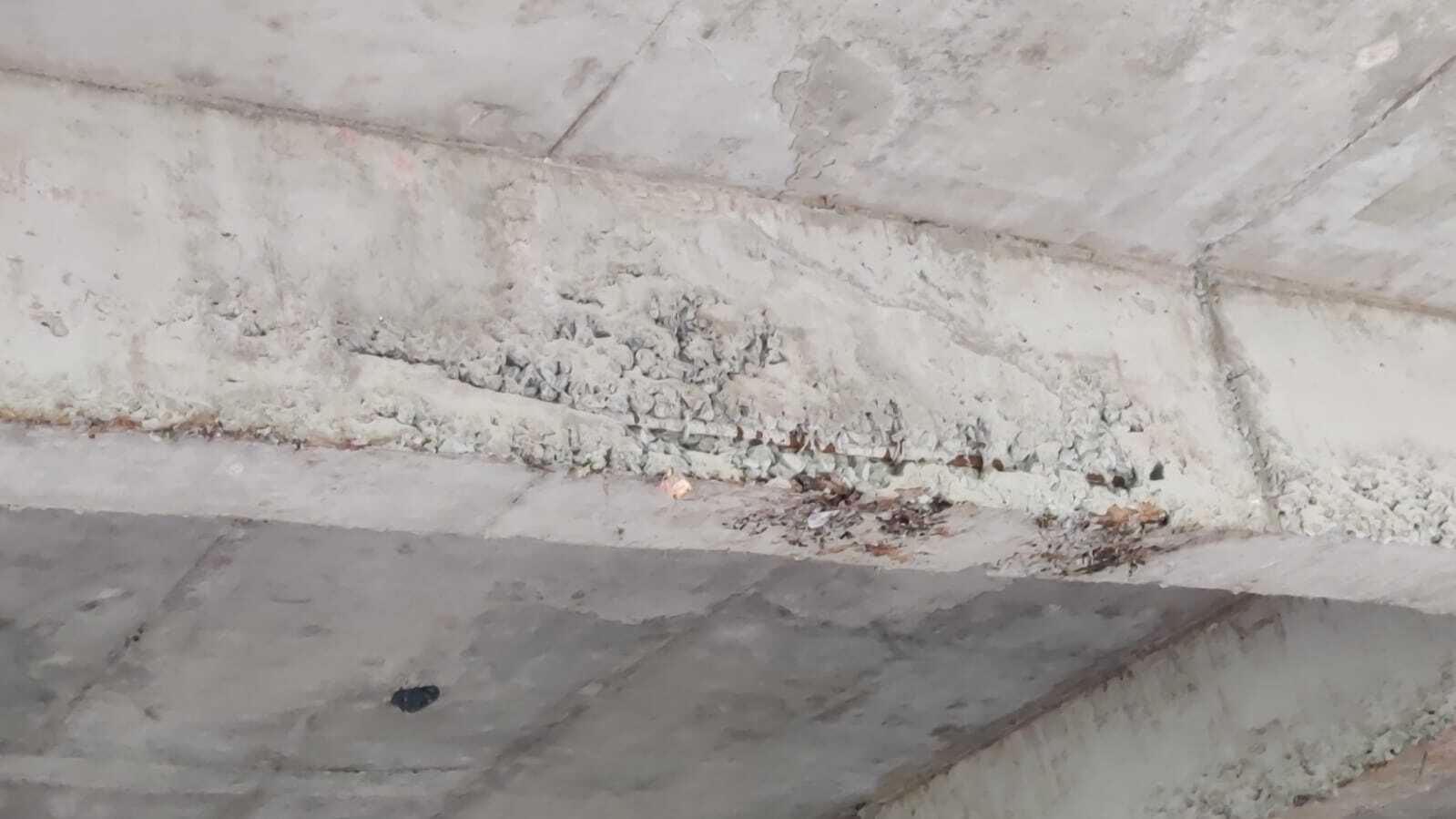 कॉलेज भवन के फस्ट प्लोर की ढलाई के बाद रिसने लगा पानी, बीम में आयी दरार