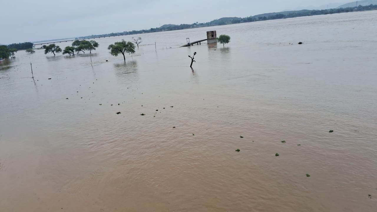Aurangabad News : बारिश से उत्तर कोयल नदी उफान पर, भीम बराज के 38 गेट खोले गये