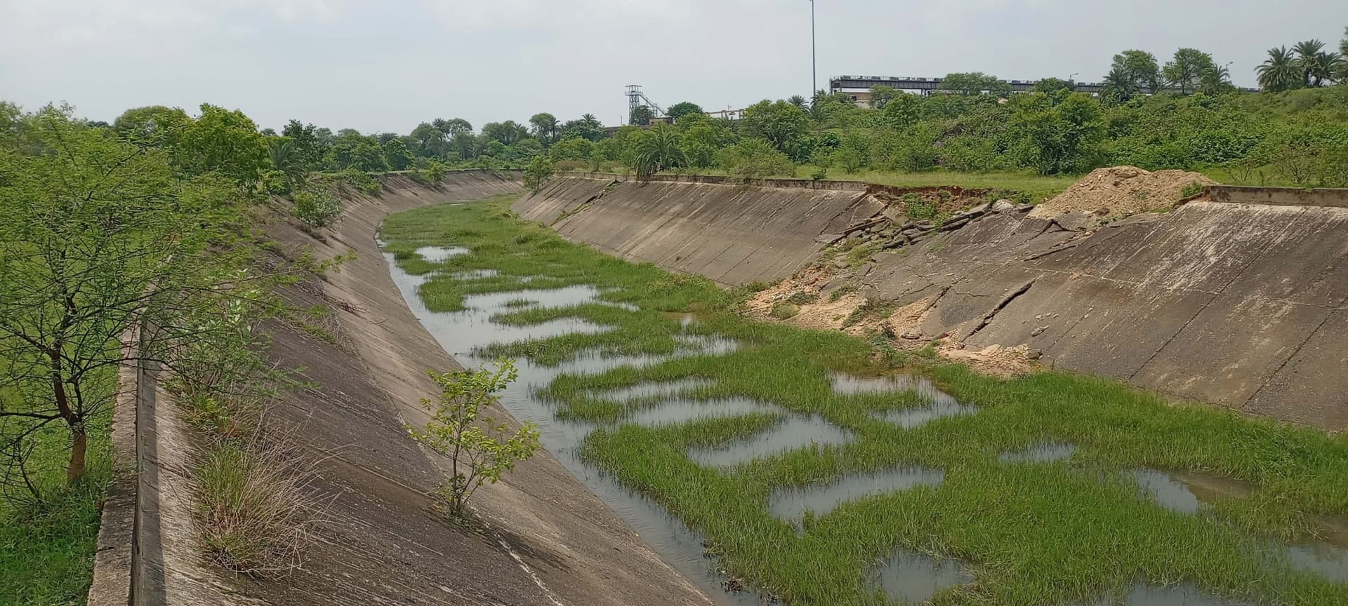 East Singhbhum News : गालूडीह में मुख्य दायीं नहर एक साल से ध्वस्त, ओडिशा कैसे जायेगा पानी