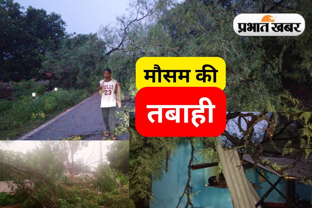 Jharkhand Weather: झींकपानी में आंधी-बारिश ने मचायी तबाही, विशाल इमली का पेड़ घर पर गिरा