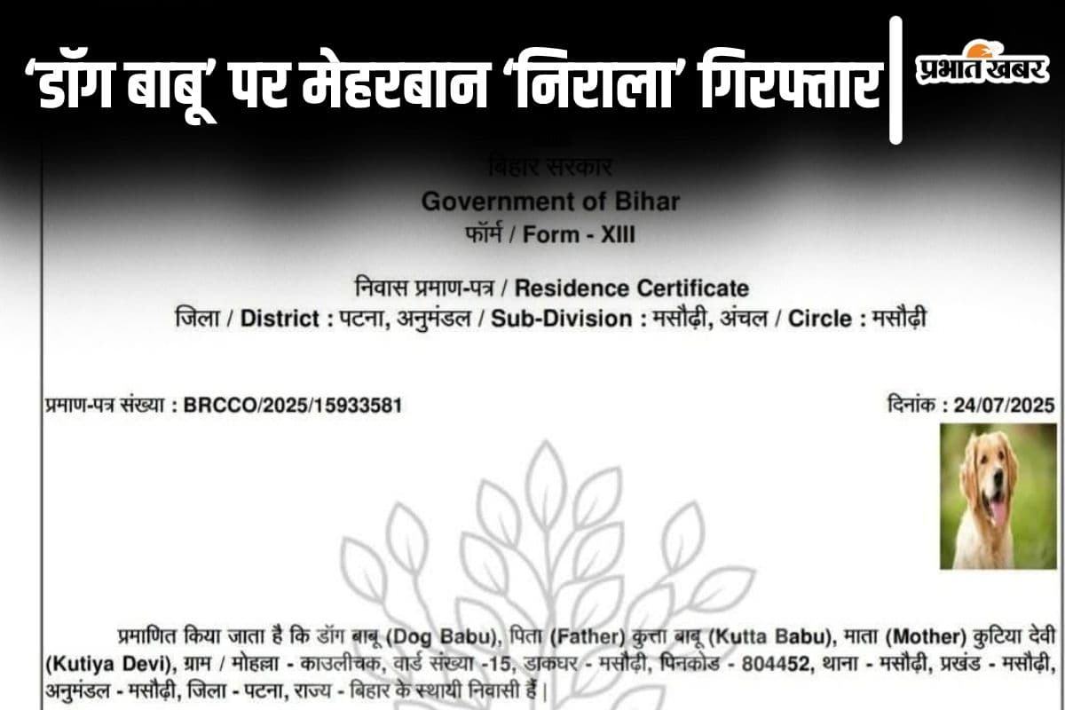 domicile certificate bihar domicile certificate bihar