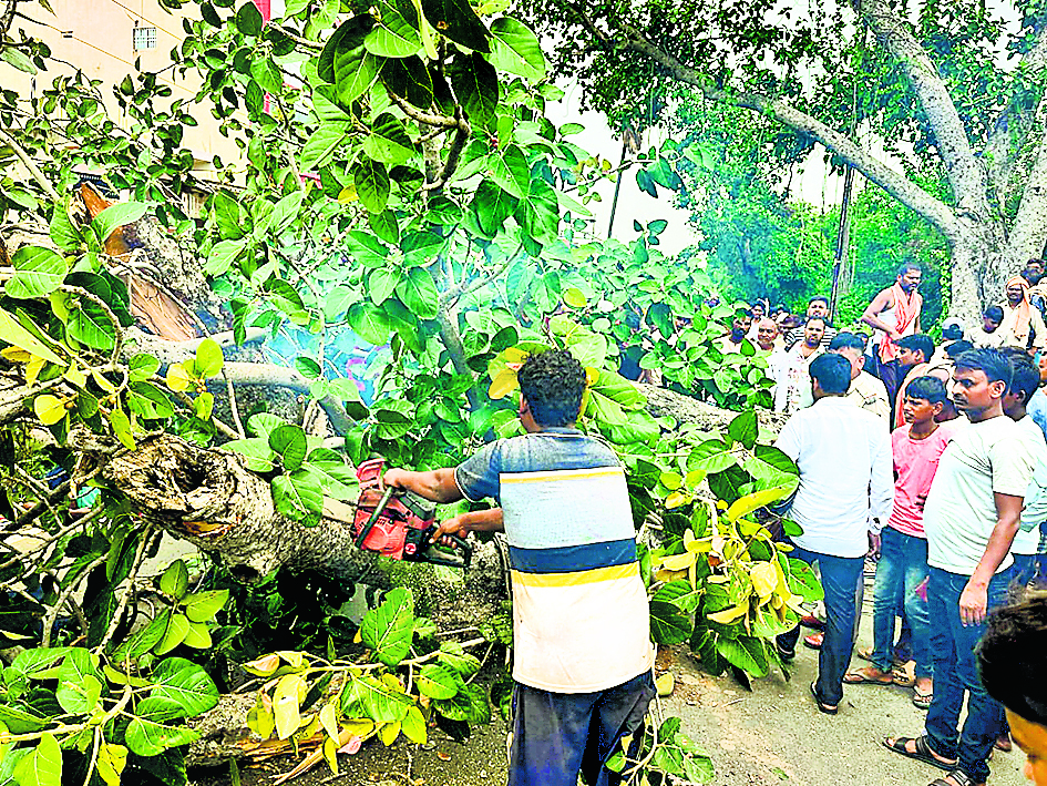 Gaya News : बरगद की डाल गिरने से चाचा-भतीजे की मौत