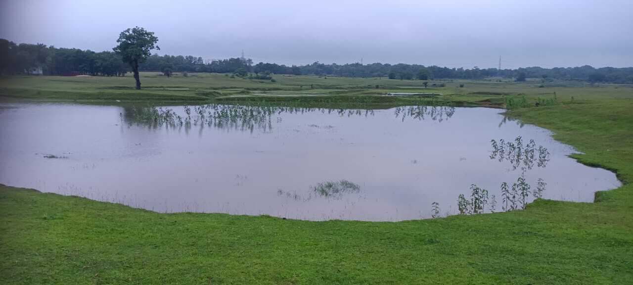लगातार हो रही बारिश से नदी में बढ़ा जलस्तर, पोखर में भरा पानी