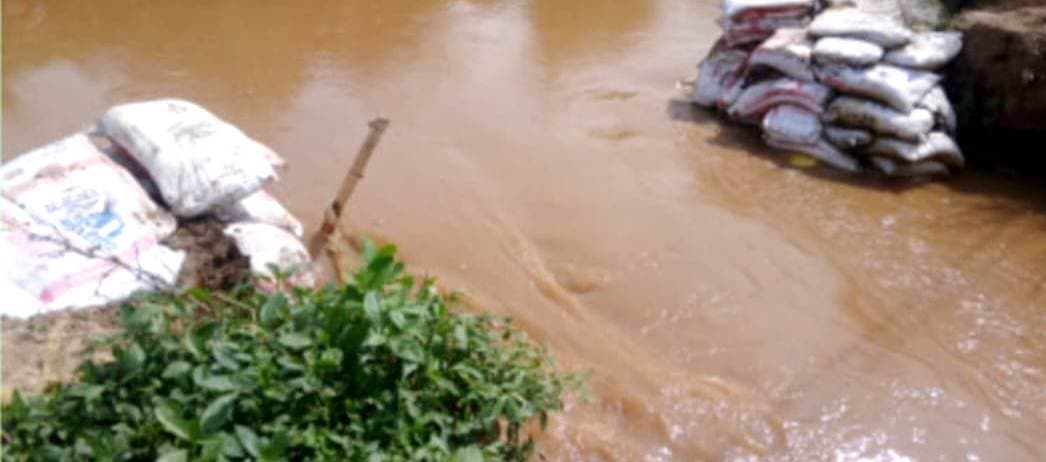कोराईपुर गांव के समीप नहर के टूटे तटबंध की नहीं हुई मरम्मत, किसान परेशान