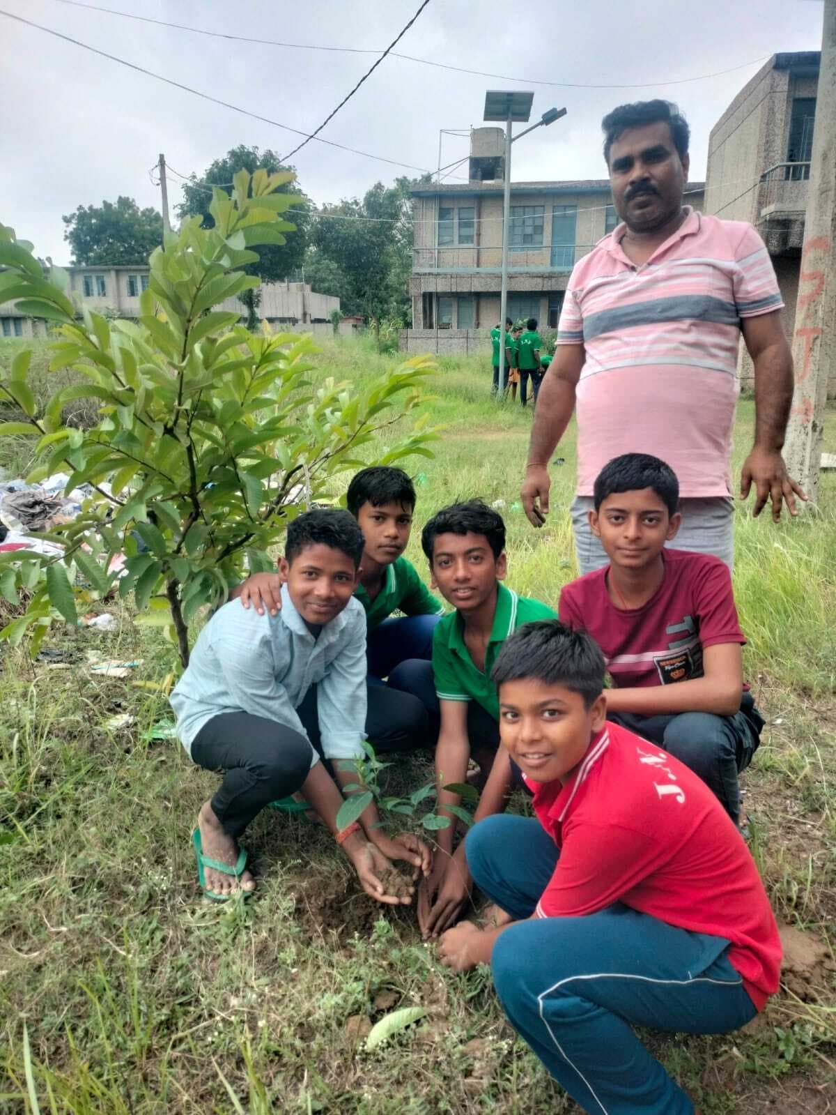 पेड़ भी मां के समान ही हमें करता है जीवन प्रदान