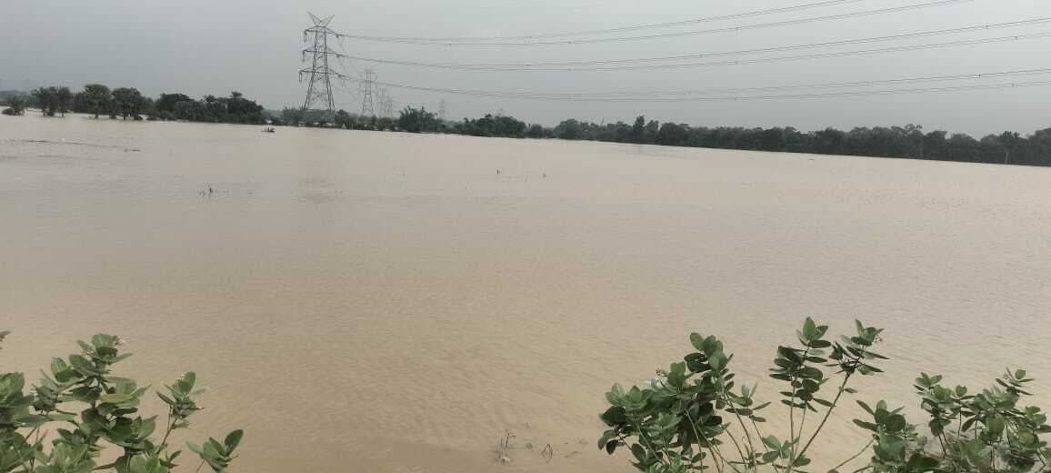 तीन दिनों से हो रही बारिश से गुमानी नदी का जलस्तर बढ़ा