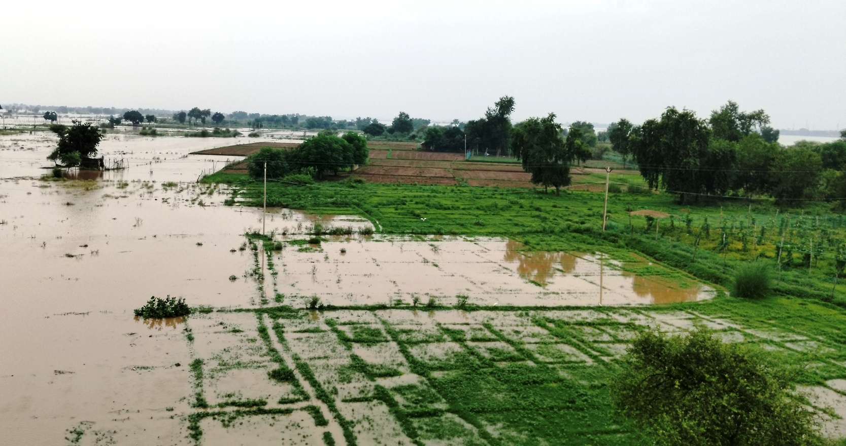 सोन नदी का जलस्तर बढ़ने से दाउदनगर में भी अलर्ट