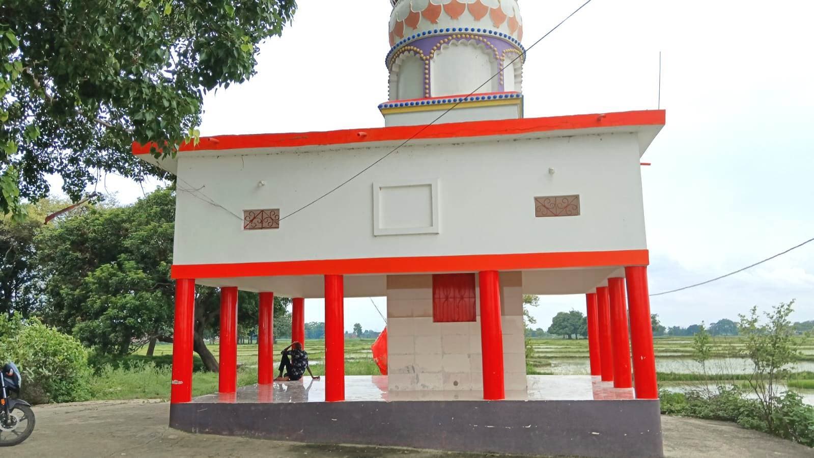 कल नाग देवता की होगी पूजा-अर्चना