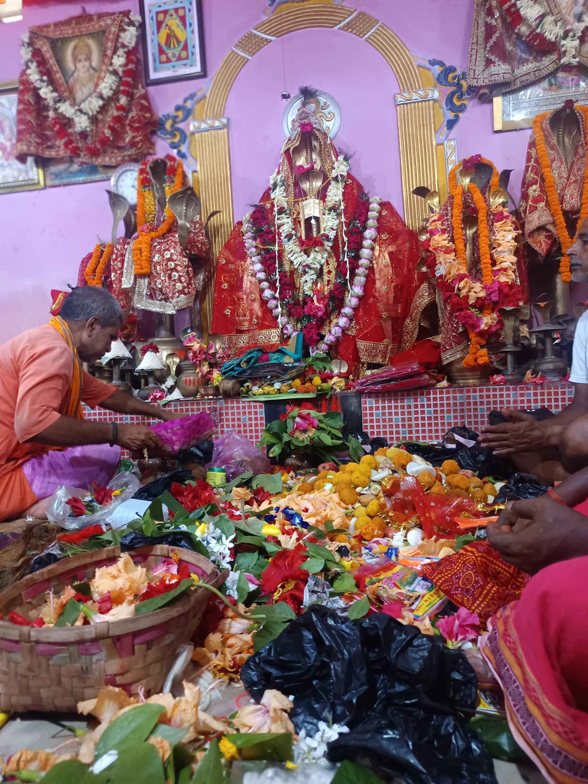 Bhagalpur news सबकी मनोकामनाएं पूरी करती हैं नगरह वाली विषहरी मइया