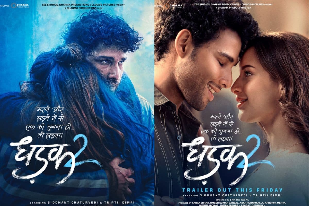 Dhadak 2 Ending Explained: क्या नीलेश और विधि का प्यार जीत पाया जातिवाद की दीवारों से… या आखिर में हुई मौत? जानें क्लाइमेक्स में क्या हुआ