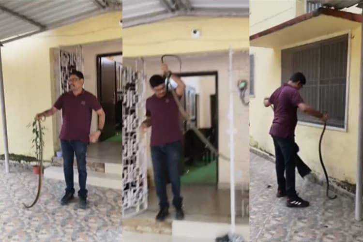 रामगढ़ विधायक के रांची आवास से रेस्क्यू किया गया इंडियन रैट स्नेक, सर्पमित्र रमेश कुमार ने किया रेस्क्यू