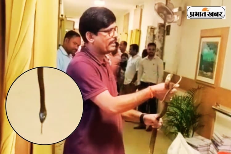 Viral Video: झारखंड सचिवालय में सांप, हलक में अटकी कर्मचारियों की सांसें, ऐसे आया पकड़ में