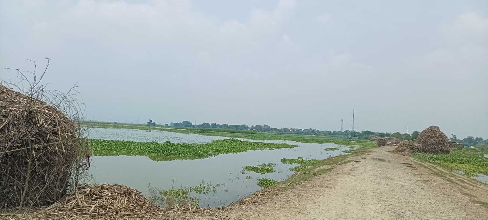 खतरे के निशान से ऊपर बह रही कोसी, निचले इलाके में फैला बाढ़ का पानी