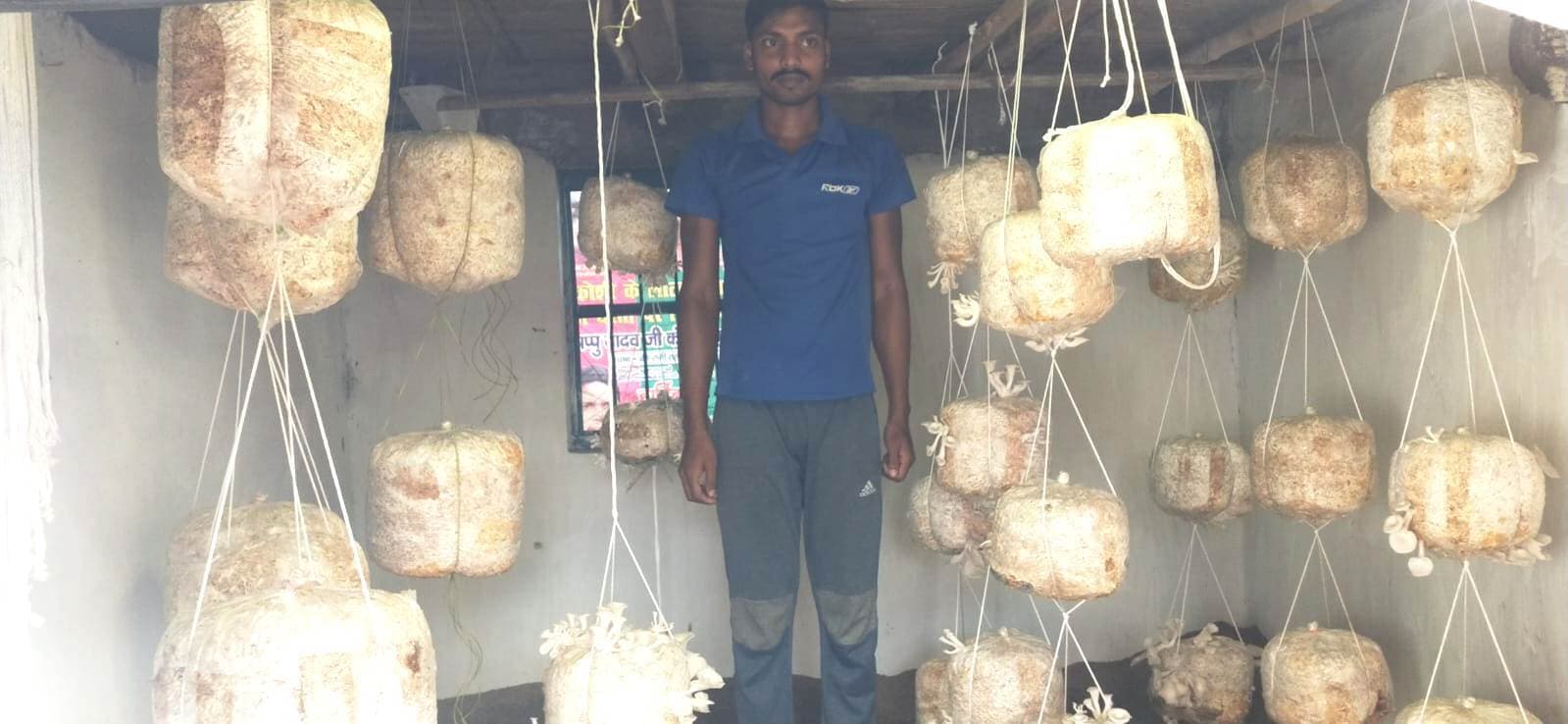 मशरूम स्वादिष्ट पौष्टिक आहार विटामिन से भरपूर : सहायक उद्यान निदेशक